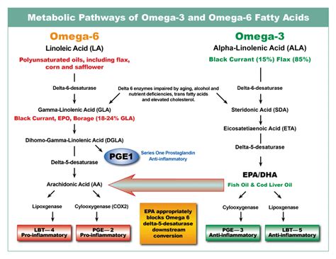 omega 3 fatty acid mechamism|omega 3 fatty acids.